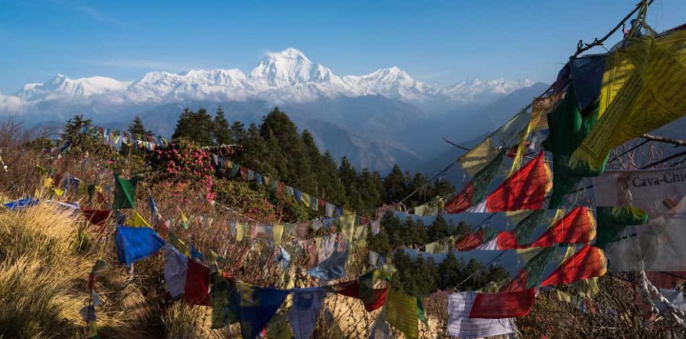 Poon hill trek HMB